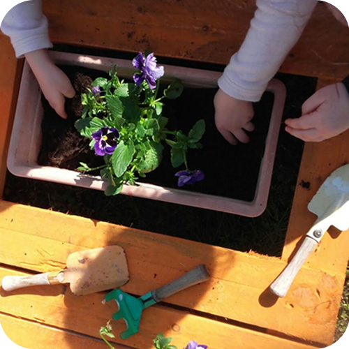 L’Orto-Giardino, un progetto per crescere bene