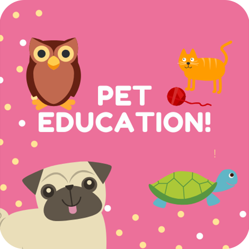 Pet Education, cos’è e perché è importante per i bambini