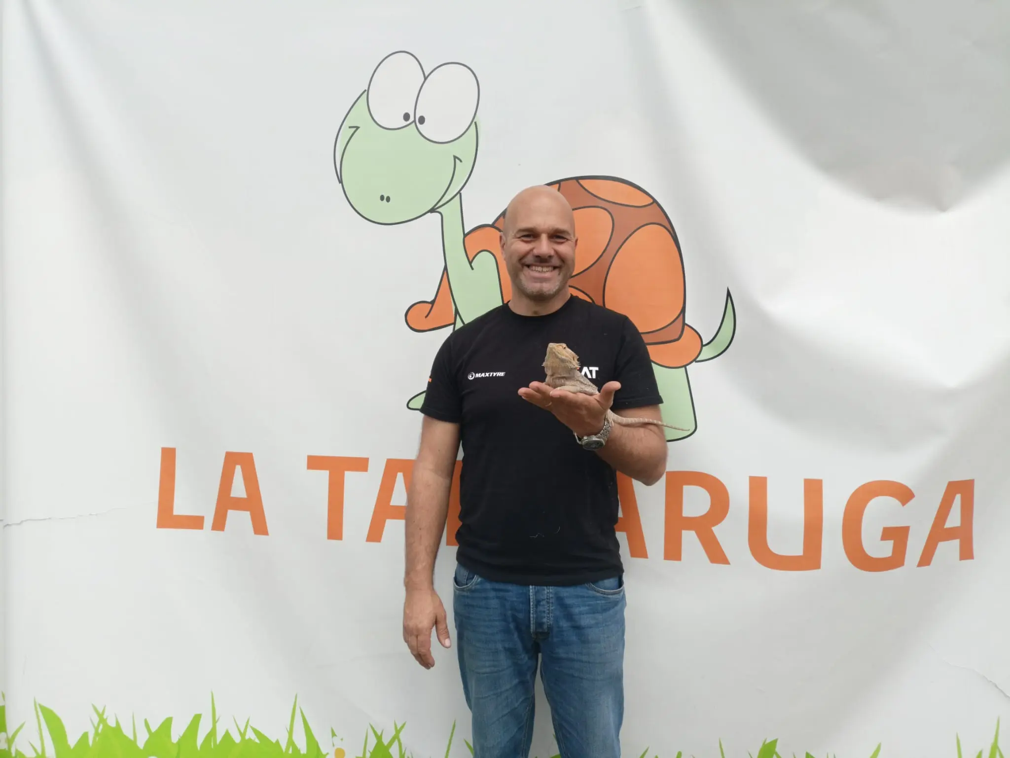 ludovico insegnante pet education